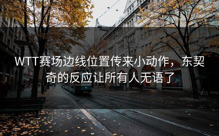 WTT赛场边线位置传来小动作，东契奇的反应让所有人无语了